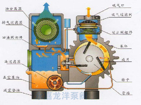 XD單級(jí)旋片式真空泵結(jié)構(gòu)圖
